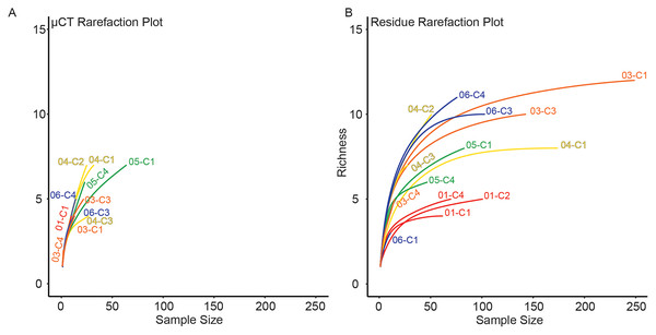 Rarefaction analysis of taxonomic richness for (A) μCT samples (Table 6) and (B) acid maceration residue samples (Table 7).