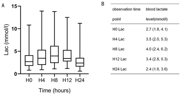 Blood lactate level trends during the 24-h observation period.