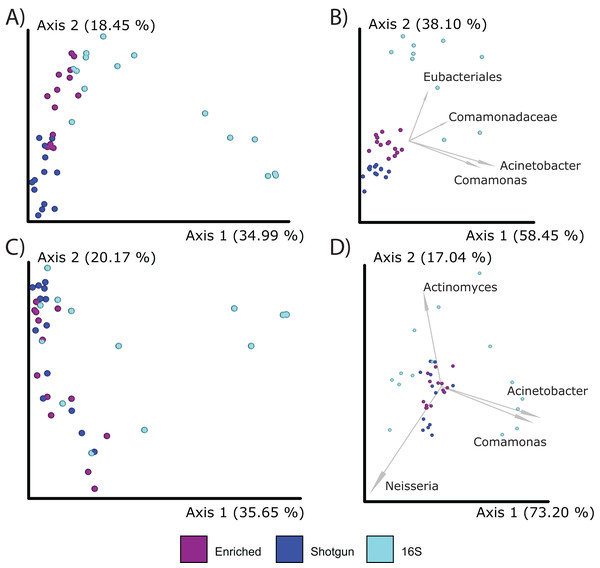PCoA plots comparing the microbial communities at different taxonomic levels and distance metrics.