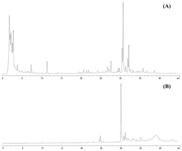 HPLC chromatograms of leaves lipophilic extract (A) and β-sitosterol isolated from leaves lipophilic extracts (B) of T. orientalis in 10 mg/mL concentration (mobile phase; aqueous buffer: methanol, 40:60 v/v).