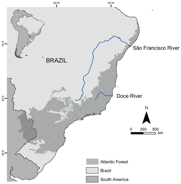 Boundaries of the Atlantic Forest in Brazil and South America.