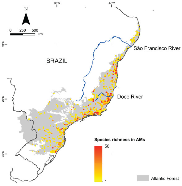 Species richness of microendemic species in the Brazilian Atlantic Forest.