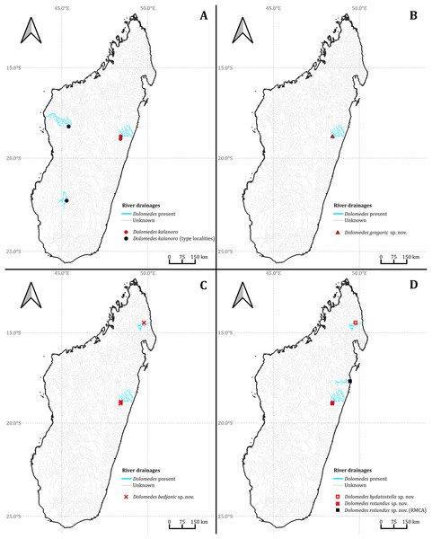 The collecting localities of the five Dolomedes species described in the study.