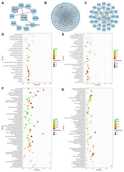 Bioinformatics analysis.