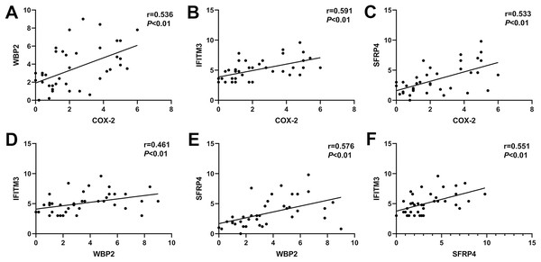 Correlation of COX-2, SFRP4, WBP2, and IFITM3 expression in ectopic endometrium of adenomyosis.