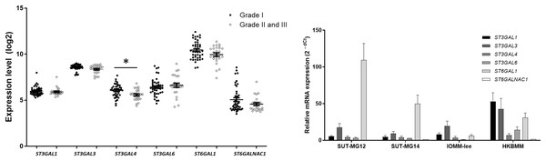 Sialyltransferase (STs) expressions in benign and malignant meningiomas.