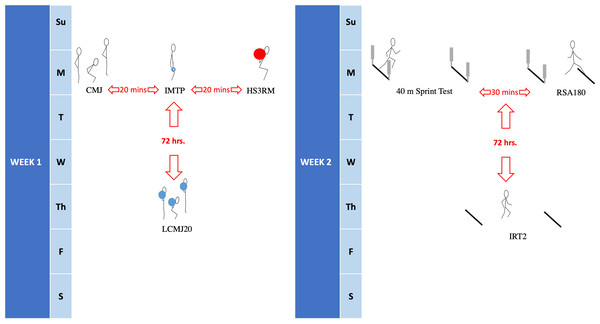 Data collection procedure.