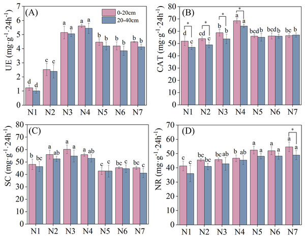 Effects of nitrogen fertilizer and soil layers treatments on soil enzymes activity of F. kirilowii.