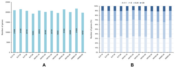 Genes expressed in four pepper varieties at different developmental stages.