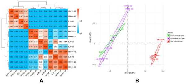 Correlation between transcriptomes of four pepper varieties at different developmental stages.