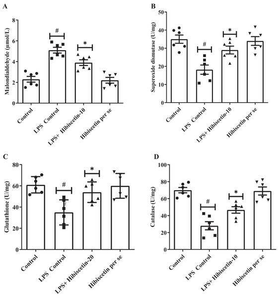 Outcomes of hibiscetin on (A) MDA, (B) SOD, (C) GSH, (D) CAT level.