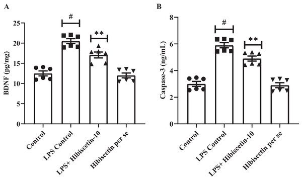 Outcomes of hibiscetin on (A) BNDF and (B) Caspase-3 level.