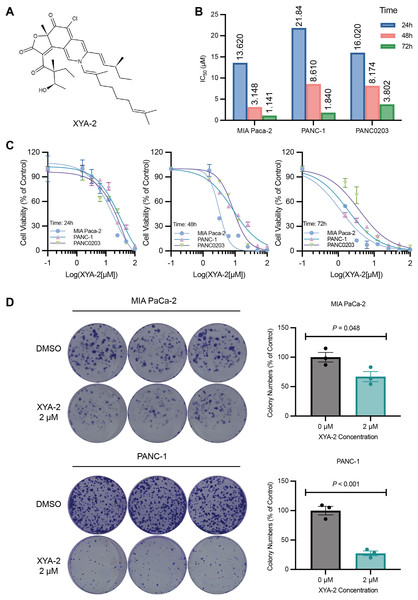 XYA-2 inhibits the proliferation of pancreatic cancer cells.