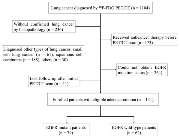 Flowchart of patient selection.