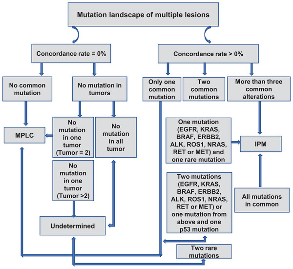 Proposed algorithm for classifying MPLC and IPM based on molecular criteria.