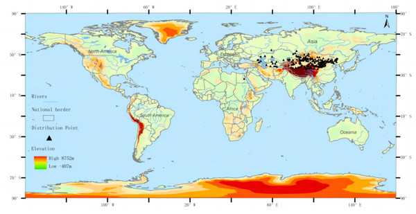 Geographic distribution of the three-toed jerboa in the present period.