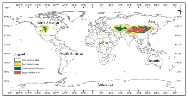 Potential distribution of the three-toed jerboa in the current climate.