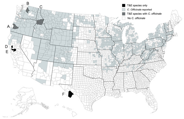 Distribution of T&E plant species in the U.S.