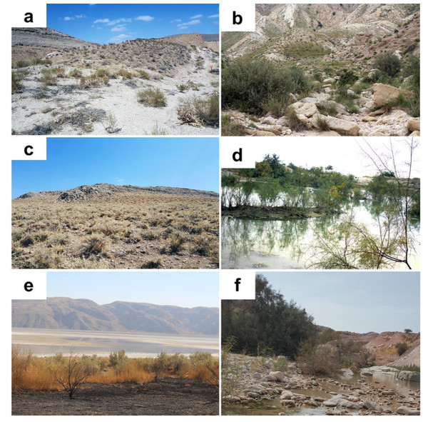 Habitat of Blepharopsis mendica in Iran.