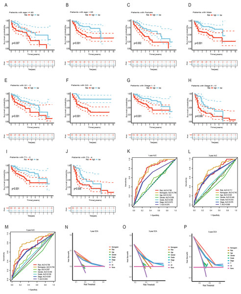 Survival analysis of HCC with different clinical features and comparison of the predictive power of the nomogram model and other clinical features.