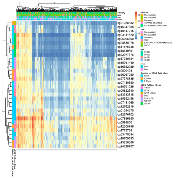 DNA methylation levels in DLX1 genes are associated with prognosis in LUAD patients.