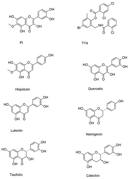 Chemical structures of patuletin, cocrystallized ligand (TY4) and reported flavonoid inhibitors of the LasR protein (Pt refers to patuletin).