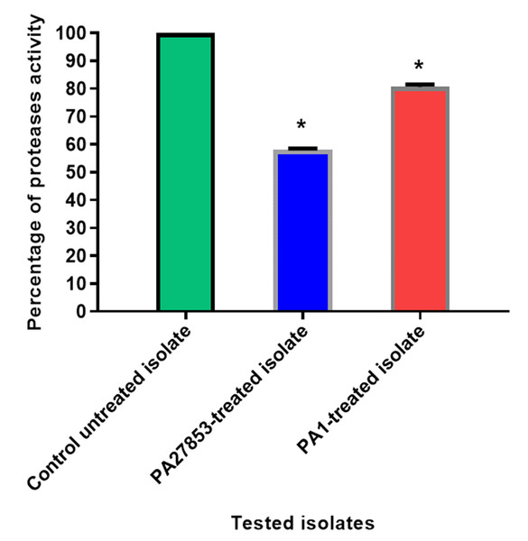 In patuletin-treated isolates, a significant decrease in proteases activity was observed.