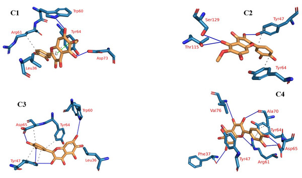 The four clusters representative obtained from TTClust and their 3D interactions with plateulin.