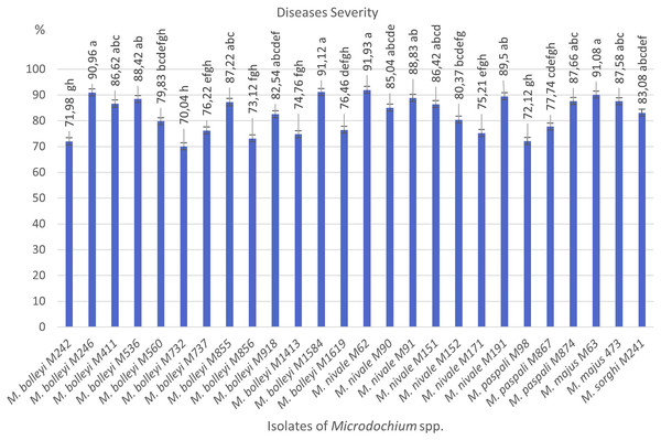 Diseases severity values of isolates of pathogen Microdochium spp. from turfgrass areas.