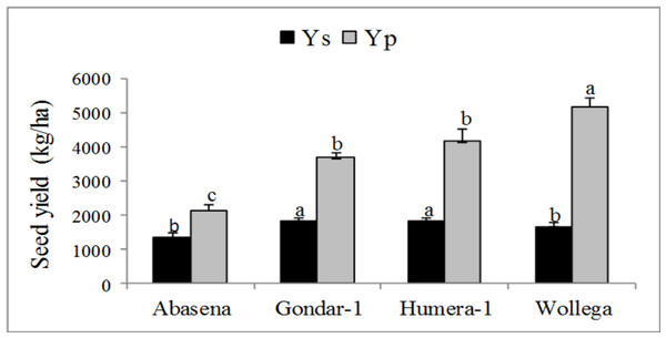 Mean seed yield of sesame varieties grown under water-stressed (Ys) and well-watered conditions (Yp).