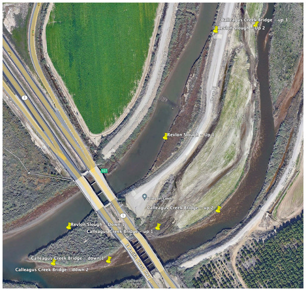 Eight sampling sites at the target locations around Calleguas Creek where it crosses Hwy 1 (Map data © 2023 Google).