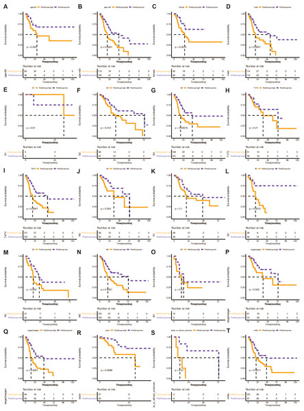 (A–T) Stratified analysis of the 13 gene-based prognostic signature.
