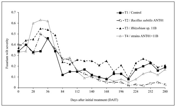 Dynamics of fusarium wilt severity (Fusarium oxysporum) in pineapple treated plants (Ananas comosus).