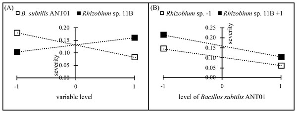 Principal effects of B subtilis. ANT01, Rhizobium sp. 11B (A) and their interaction (B) on severity of fusarium wilt during the stabilization stage of the disease.