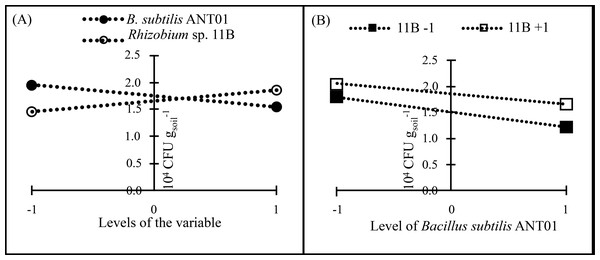 Principal effects of B subtilis ANT01 and Rhizobium sp. 11B (A) and their interaction (B) on F. oxysporum populations from a soil cultivated with pineapple plants.