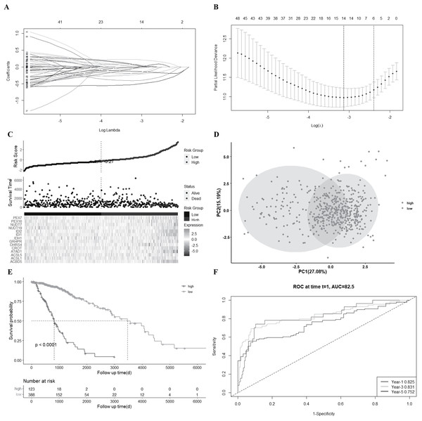 Construction of a 14-gene signature in the LGG_TCGA cohort.