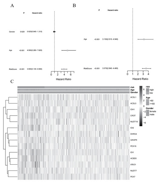 Independent prognostic value of the gene signature.