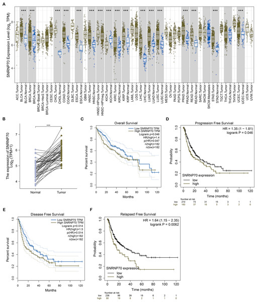 SNRNP70 expressions levels in pan-cancers and Kaplan–Meier analysis on SNRNP70 in HCC.