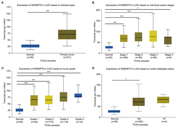 The relation between SNRNP70 and clinicopathological factors.