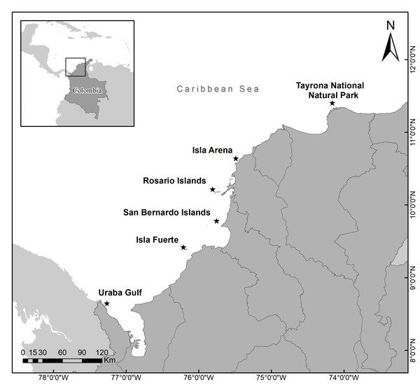 Acropora palmata populations in each locality surveyed along the Colombian Caribbean.
