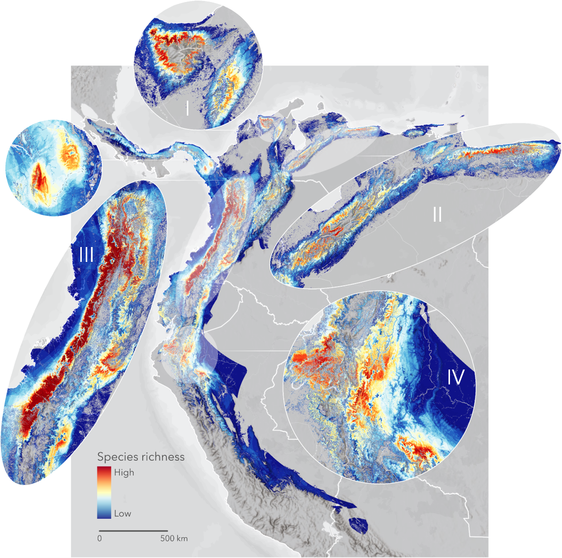 Conservation gaps and priorities of range-restricted birds in the Northern  Andes [PeerJ]