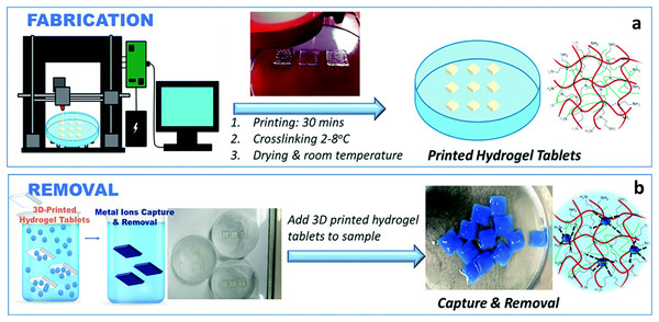 One-step 3D-printing of heavy metal removal hydrogel tablets.
