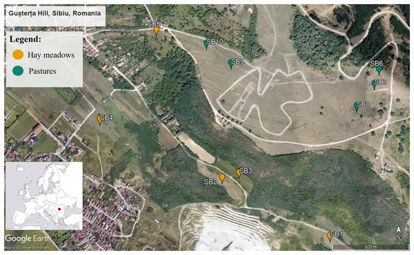 Map of the 10 study sections within the Gușterița Hill area.