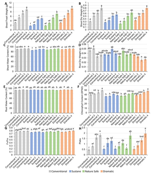 Plant growth, chlorophyll content and chlorophyll fluorescence of watermelon seedlings under different fertilizer treatments.