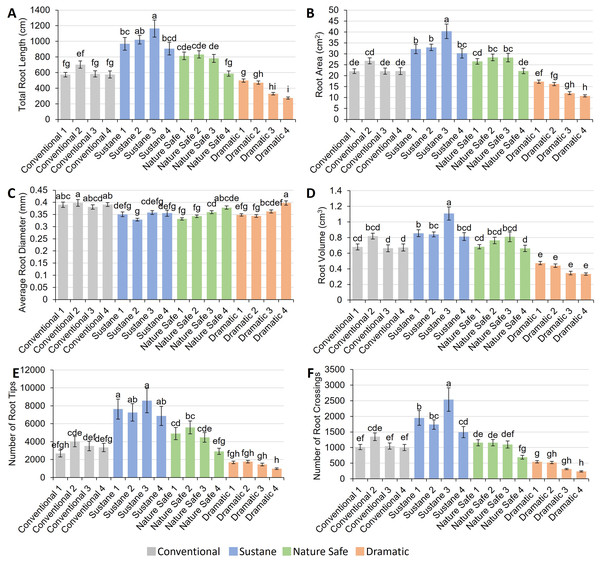 Root morphology of watermelon seedlings under different fertilizer treatments.