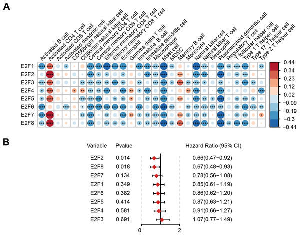 Correlation of E2F transcription factors with immune cells and patient prognosis.