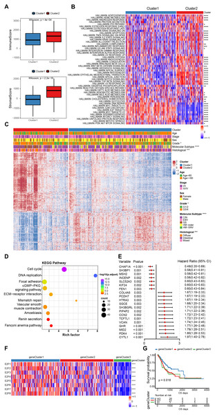 The estimation of tumor microenvironment and genetic differences between E2F subtypes.