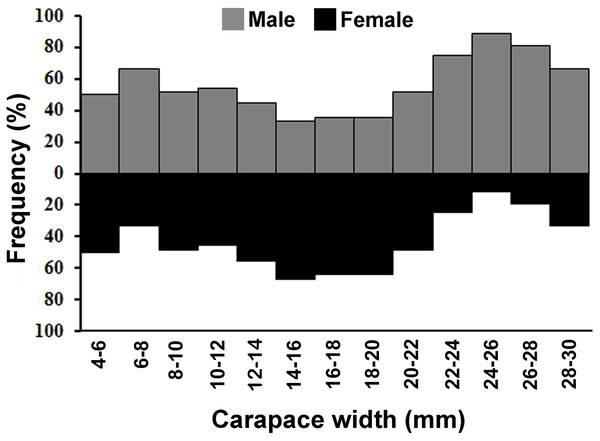 Overall size frequency distribution of L. exaratus collected from Shivrajpur, Gujarat state, India.