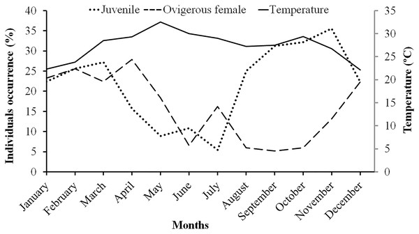 Association between the juveniles (of both sexes) and ovigerous female occurrence of L. exaratus with monthly ambient temperature from Shivrajpur, Gujarat state, India.
