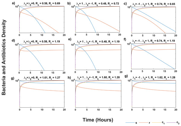 Temporal course of sensitive (s) and resistant (r) bacteria population under three scenarios of antibiotics interaction for different values of Rs and Rr.